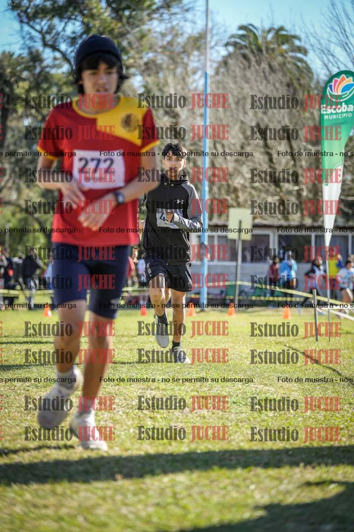 Fotos de la llegada del cross de 2000 m
