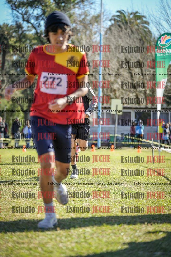 Fotos de la llegada del cross de 2000 m