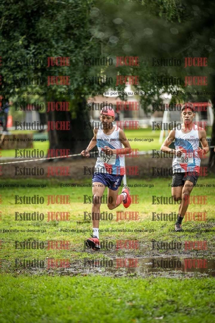 Fotos en el circuito