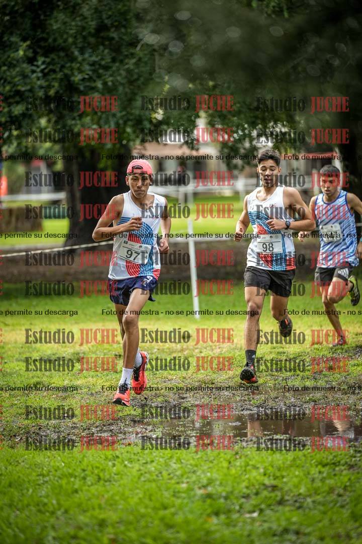 Fotos en el circuito