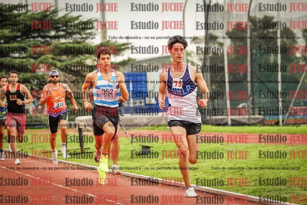 Fotos de los 800 m llanos de varones