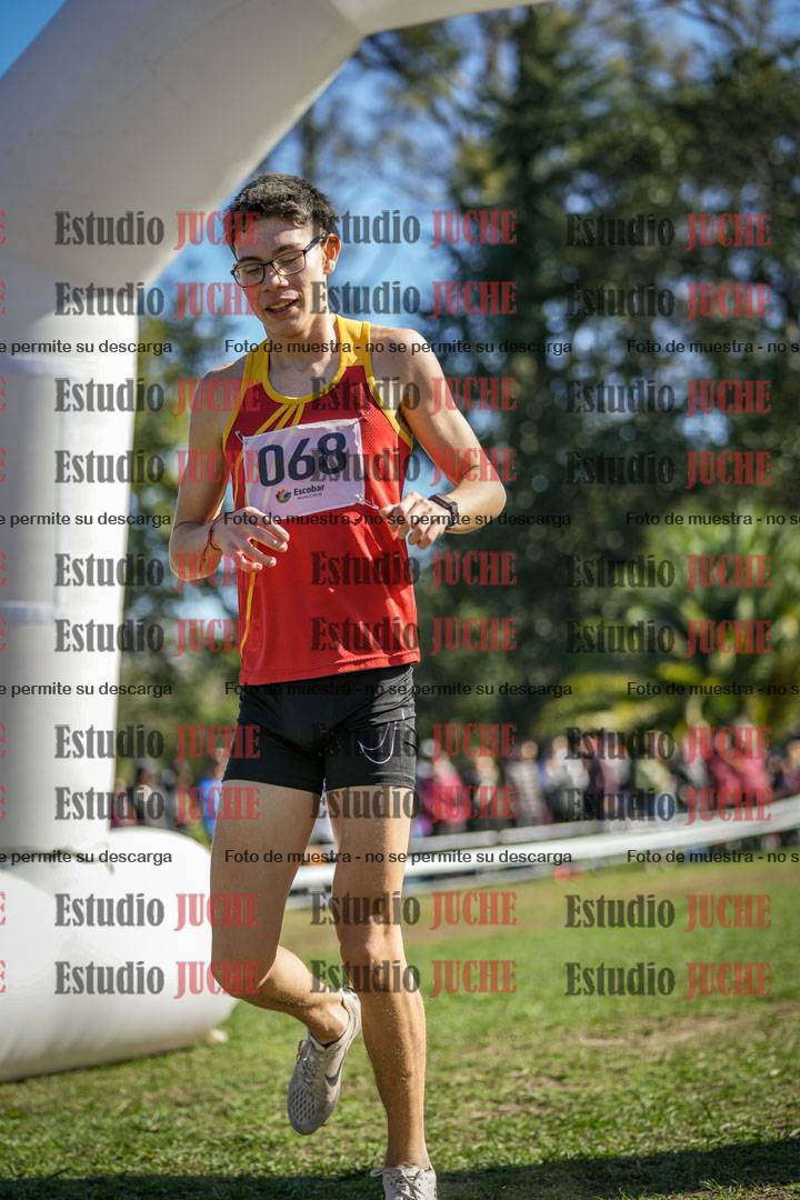 Fotos de la llegada del cross de 6000 m