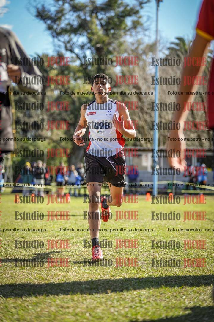 Fotos de la llegada del cross de 2000 m
