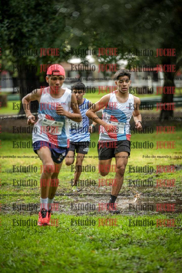 Fotos en el circuito