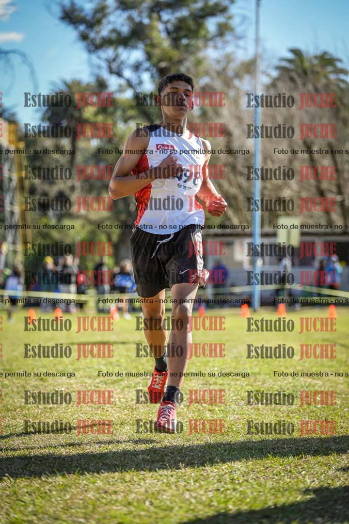 Fotos de la llegada del cross de 2000 m