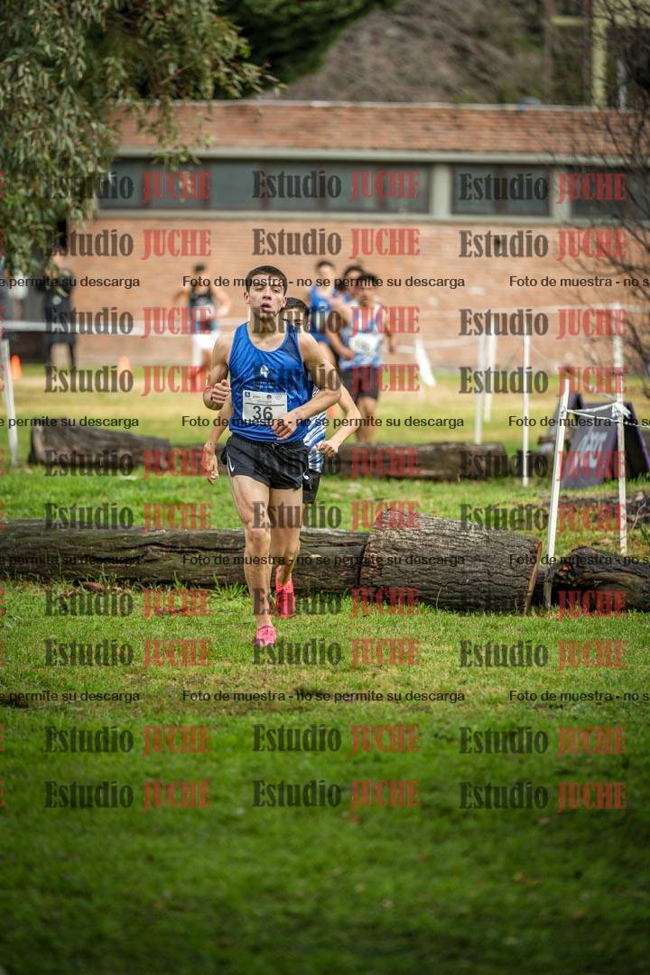Fotos en el circuito