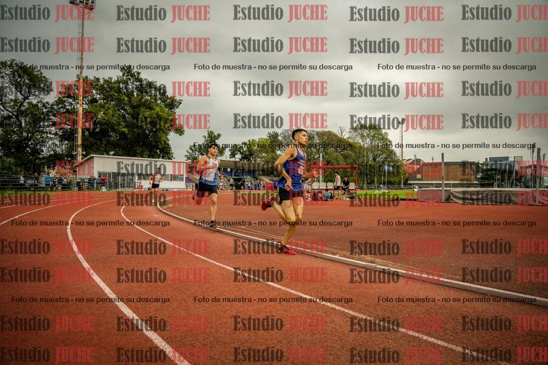 Fotos de los 800 m llanos de varones