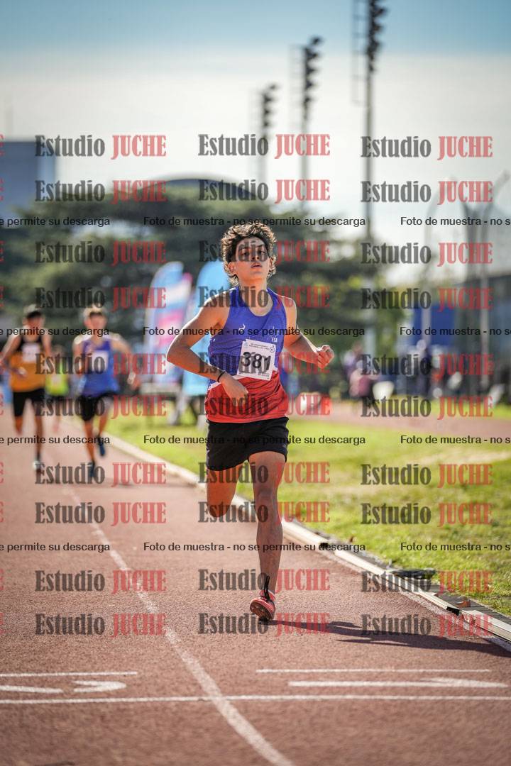 Fotos de los 800 m llanos de varones