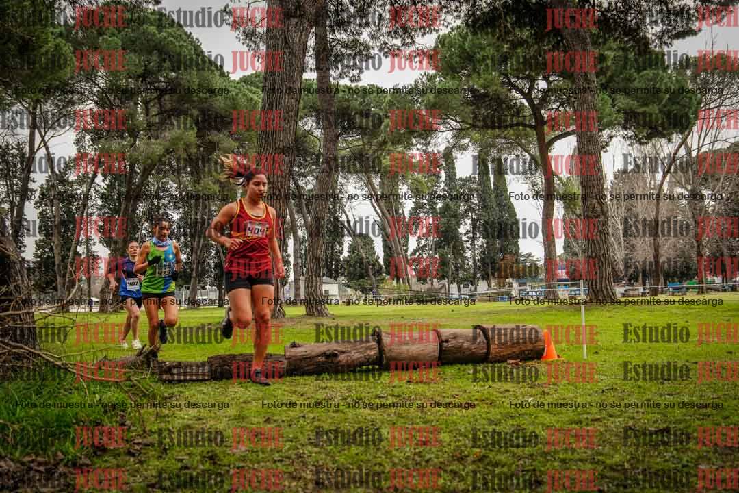 Fotos en el circuito
