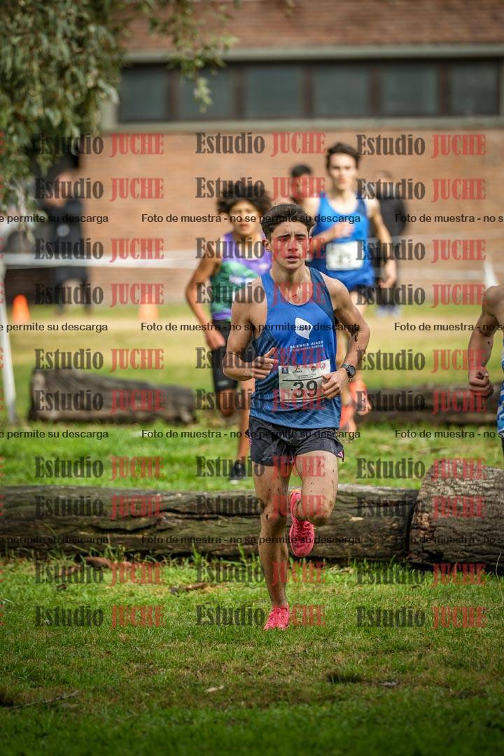 Fotos en el circuito