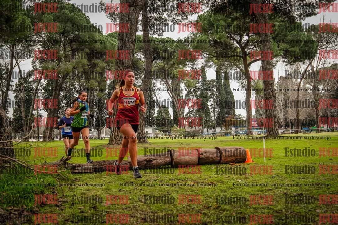Fotos en el circuito