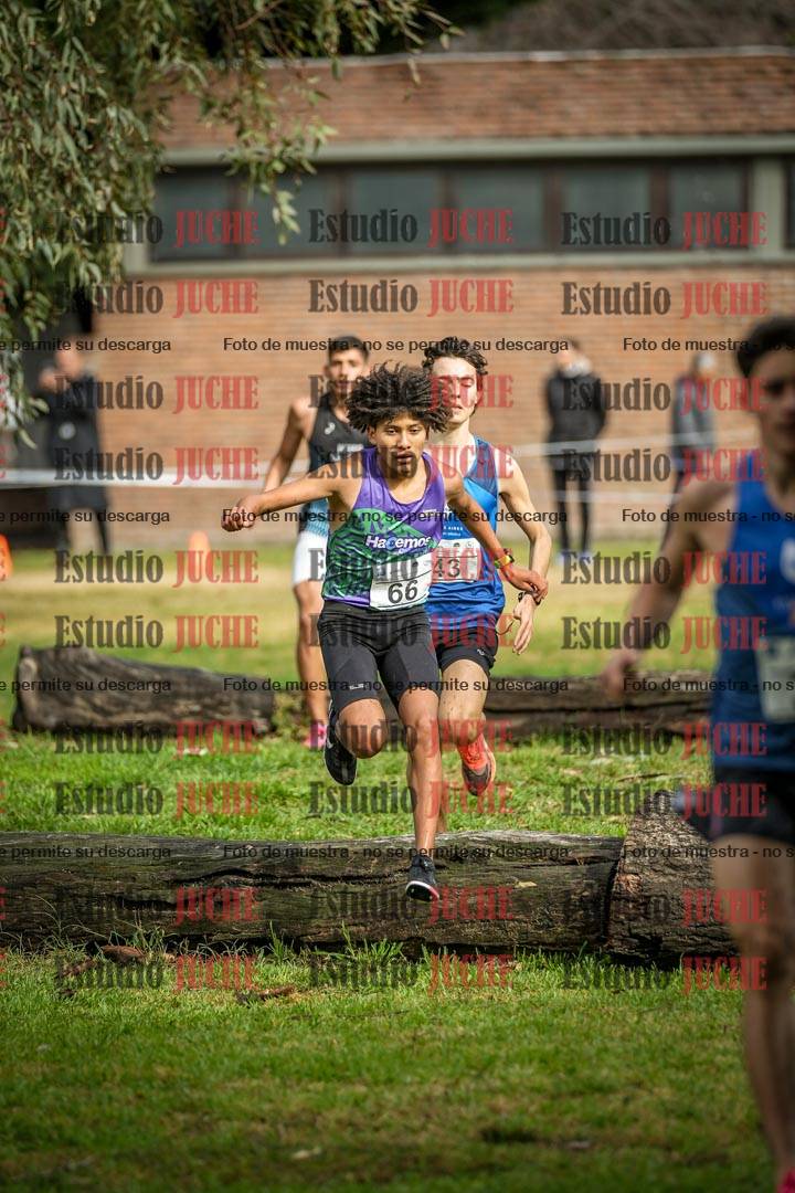 Fotos en el circuito