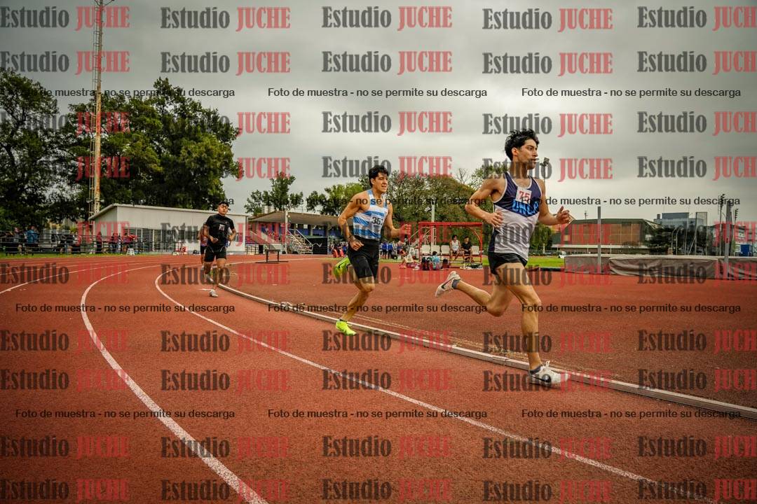 Fotos de los 800 m llanos de varones