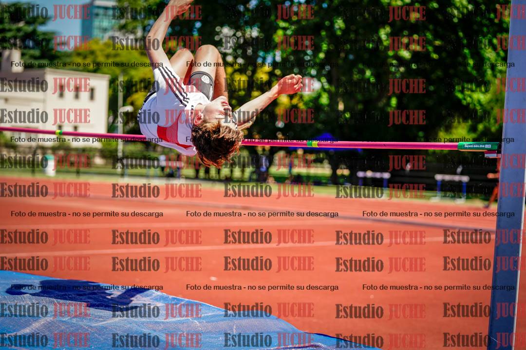 Fotos del salto en alto de varones