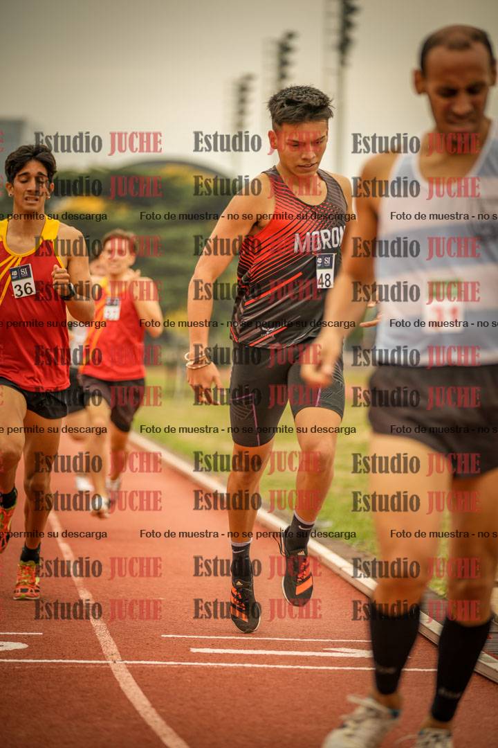 Fotos de los 800 m llanos de varones