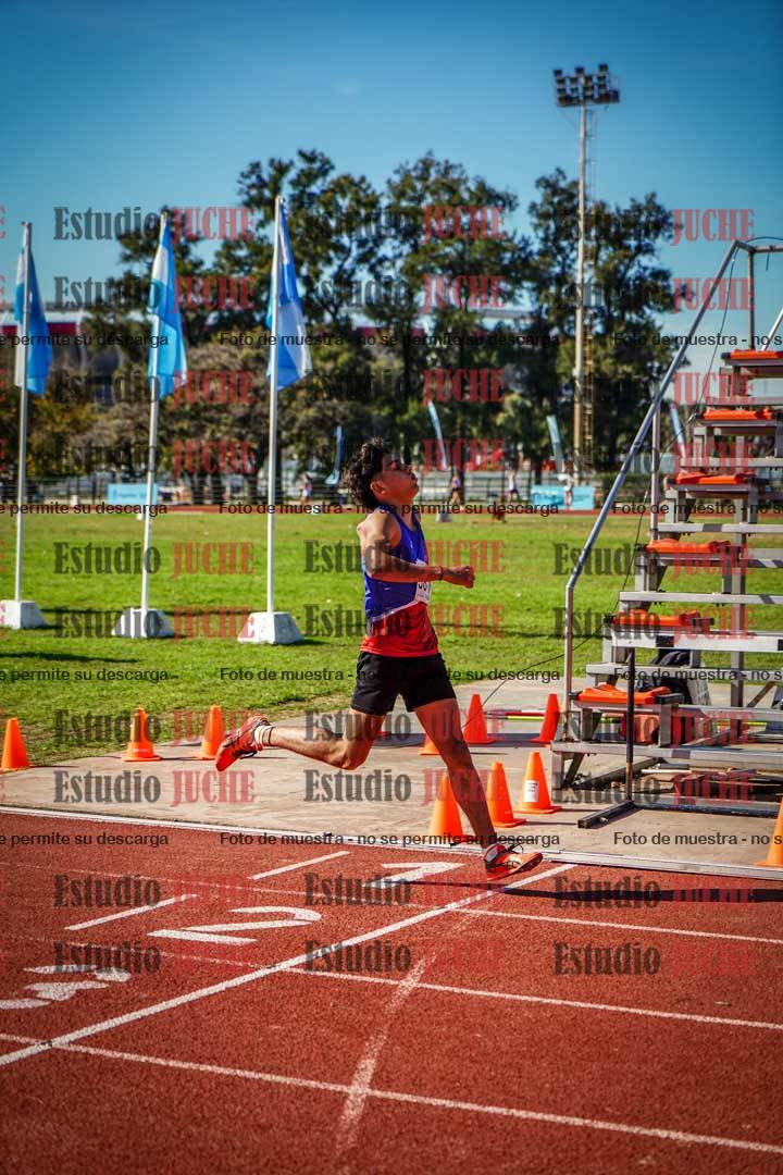 Fotos de los 800 m llanos de varones