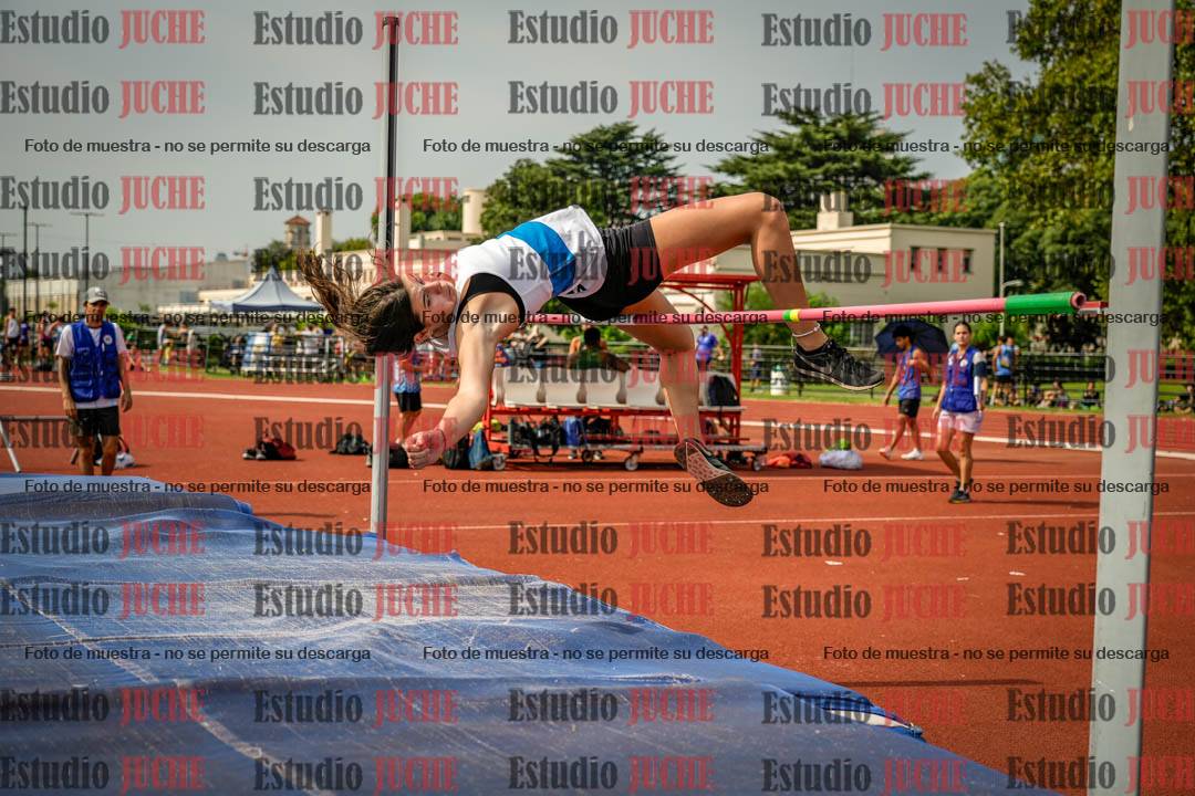 Fotos del salto en alto