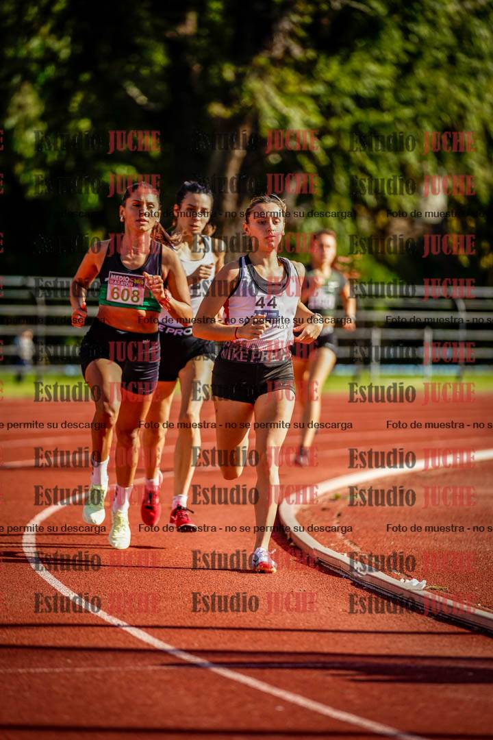 Fotos de los 1500 m de mujeres