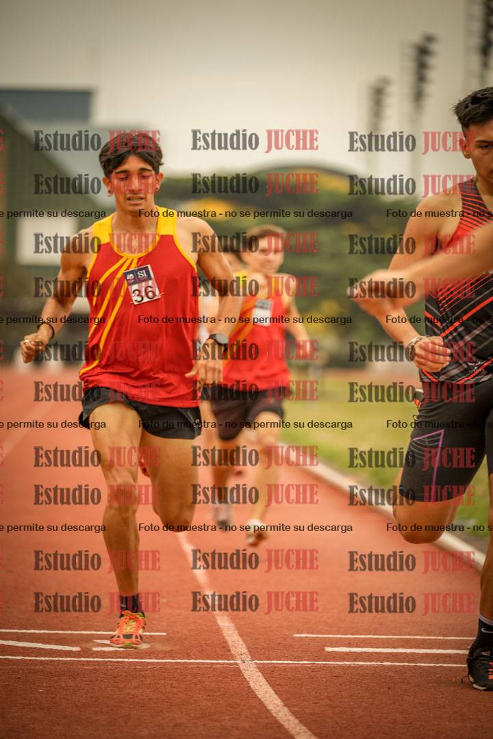 Fotos de los 800 m llanos de varones