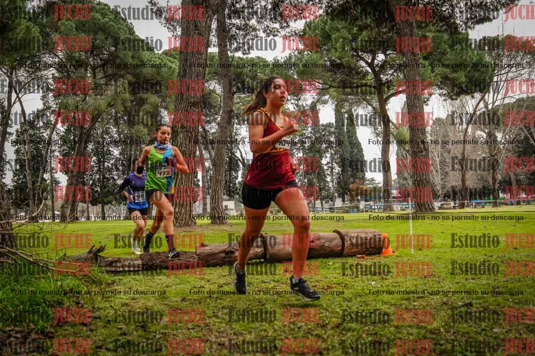 Fotos en el circuito