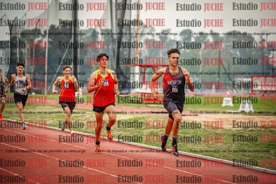 Fotos de los 800 m llanos de varones