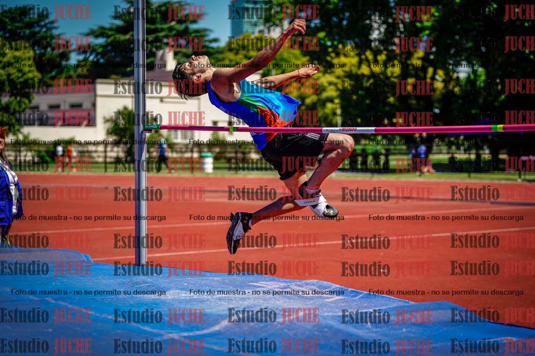 Fotos del salto en alto de varones