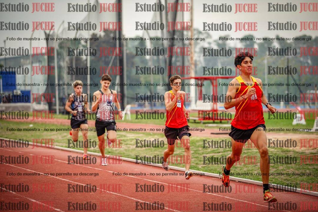 Fotos de los 800 m llanos de varones