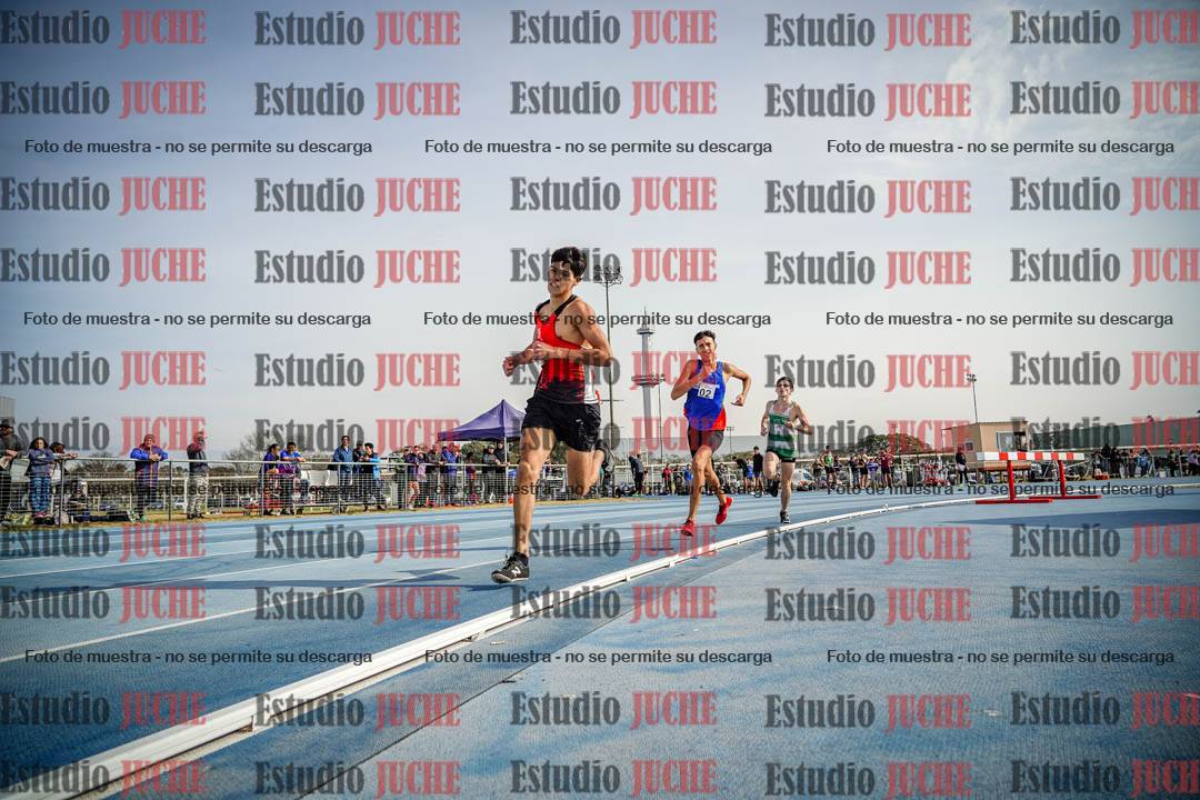 Fotos de los 800 m llanos de varones
