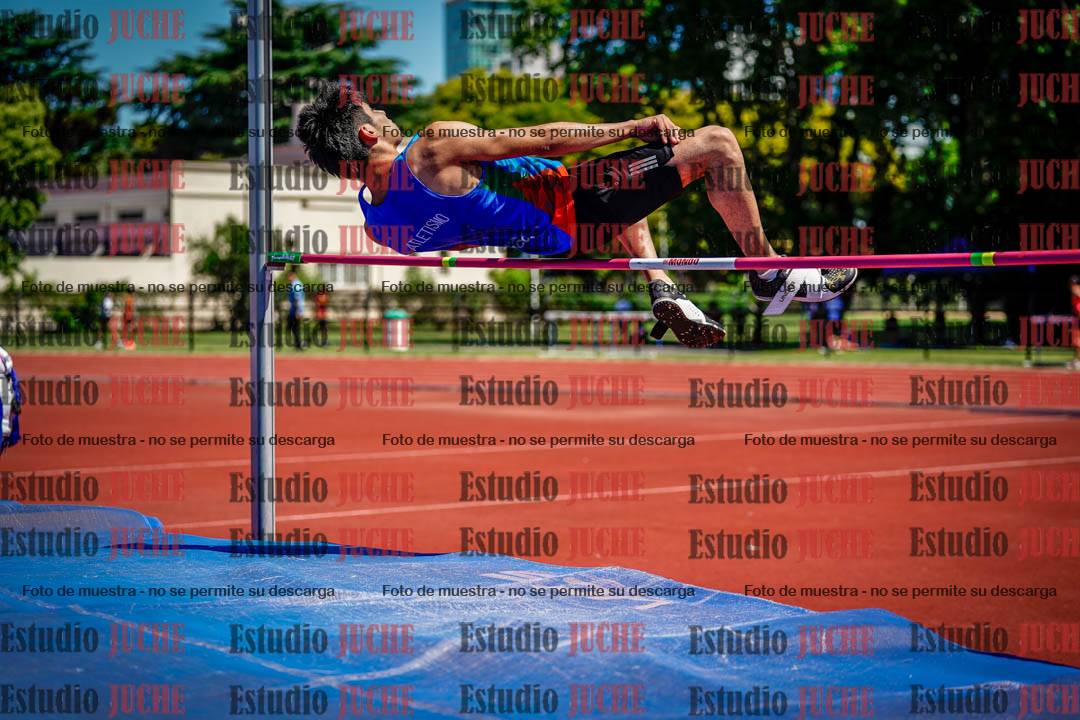 Fotos del salto en alto de varones
