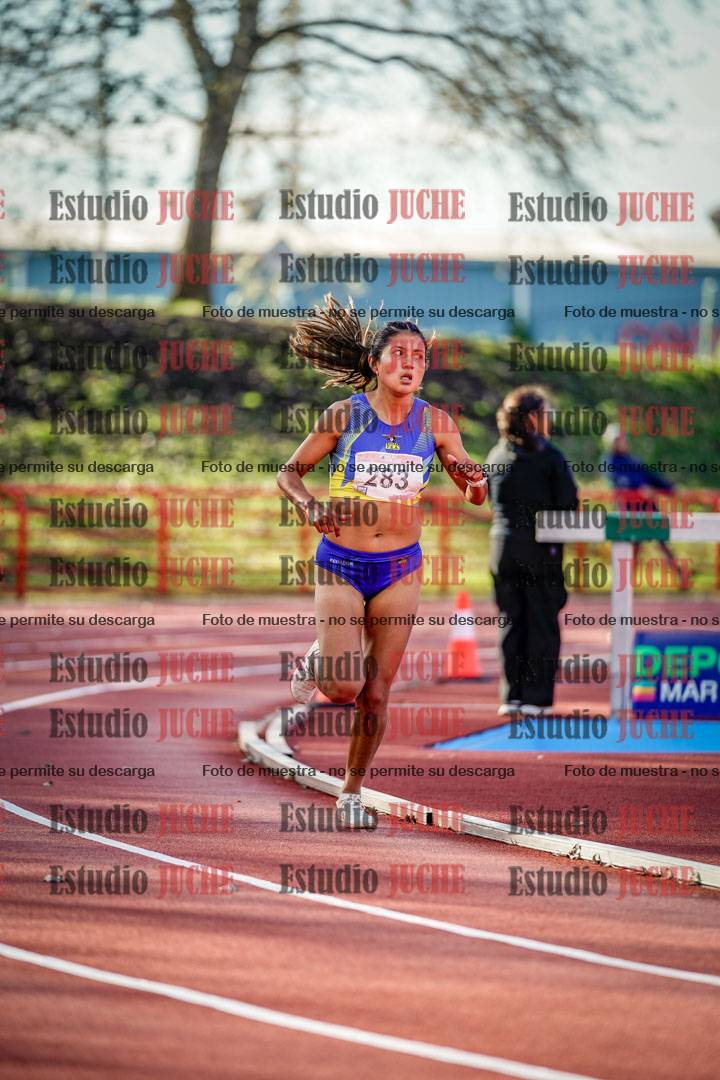 Fotos de los 5000 m de mujeres