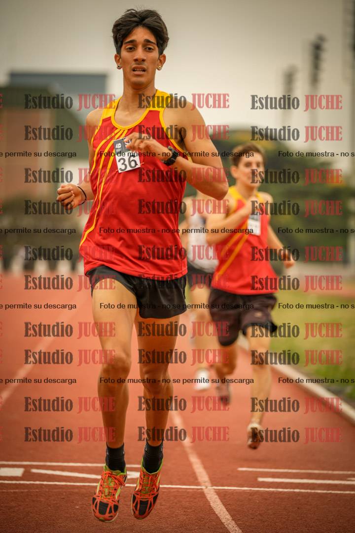 Fotos de los 800 m llanos de varones