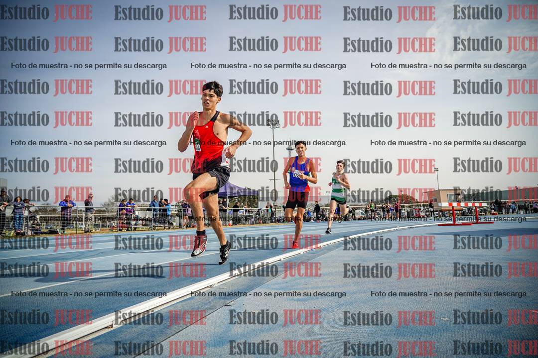 Fotos de los 800 m llanos de varones