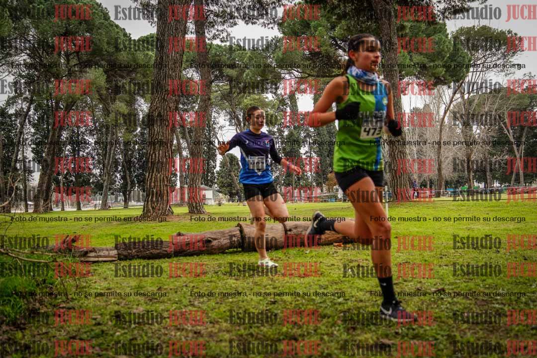 Fotos en el circuito