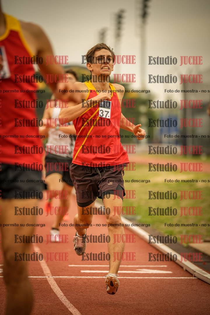 Fotos de los 800 m llanos de varones