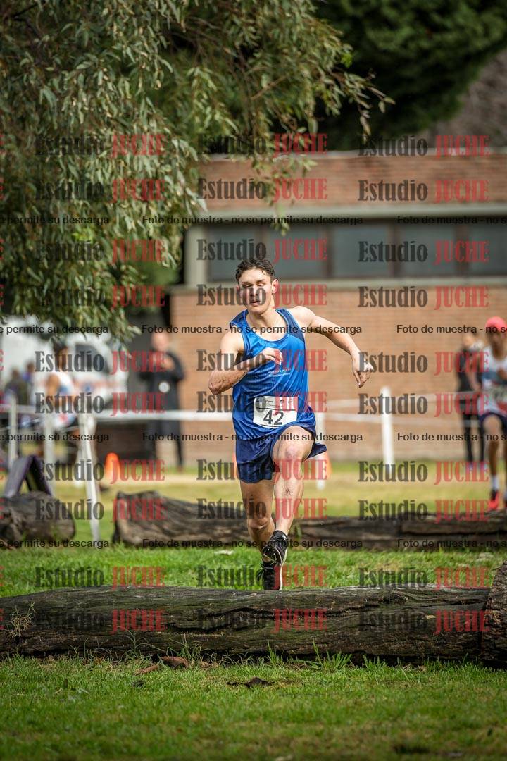 Fotos en el circuito
