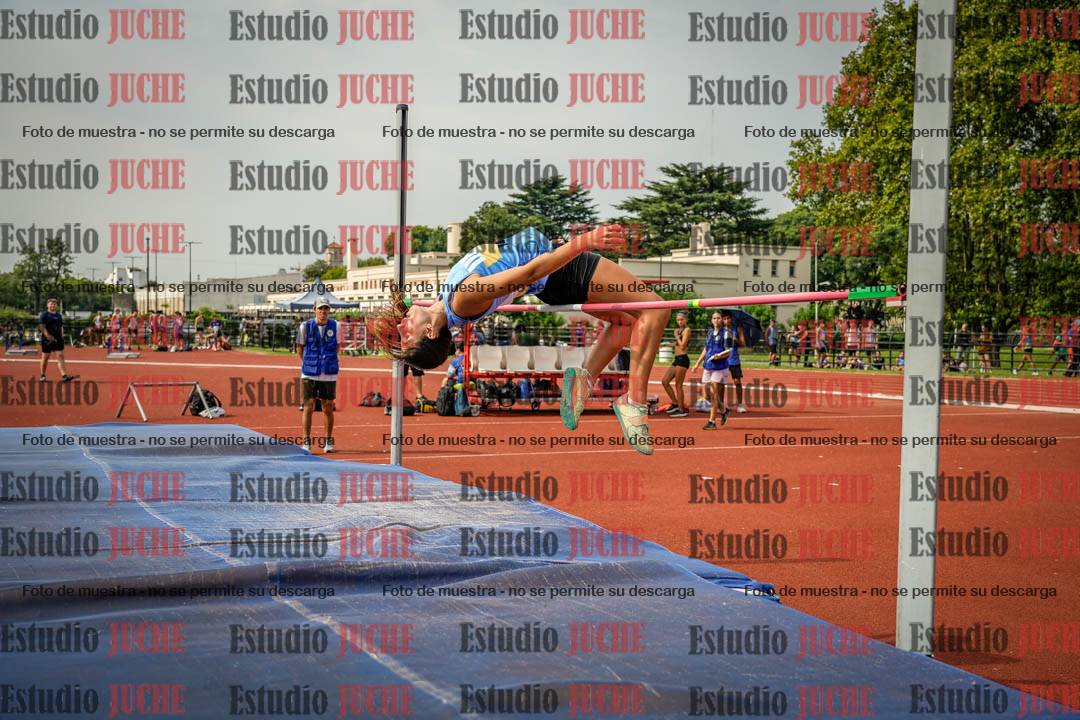 Fotos del salto en alto