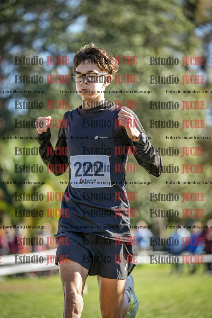 Fotos de la llegada del cross de 6000 m