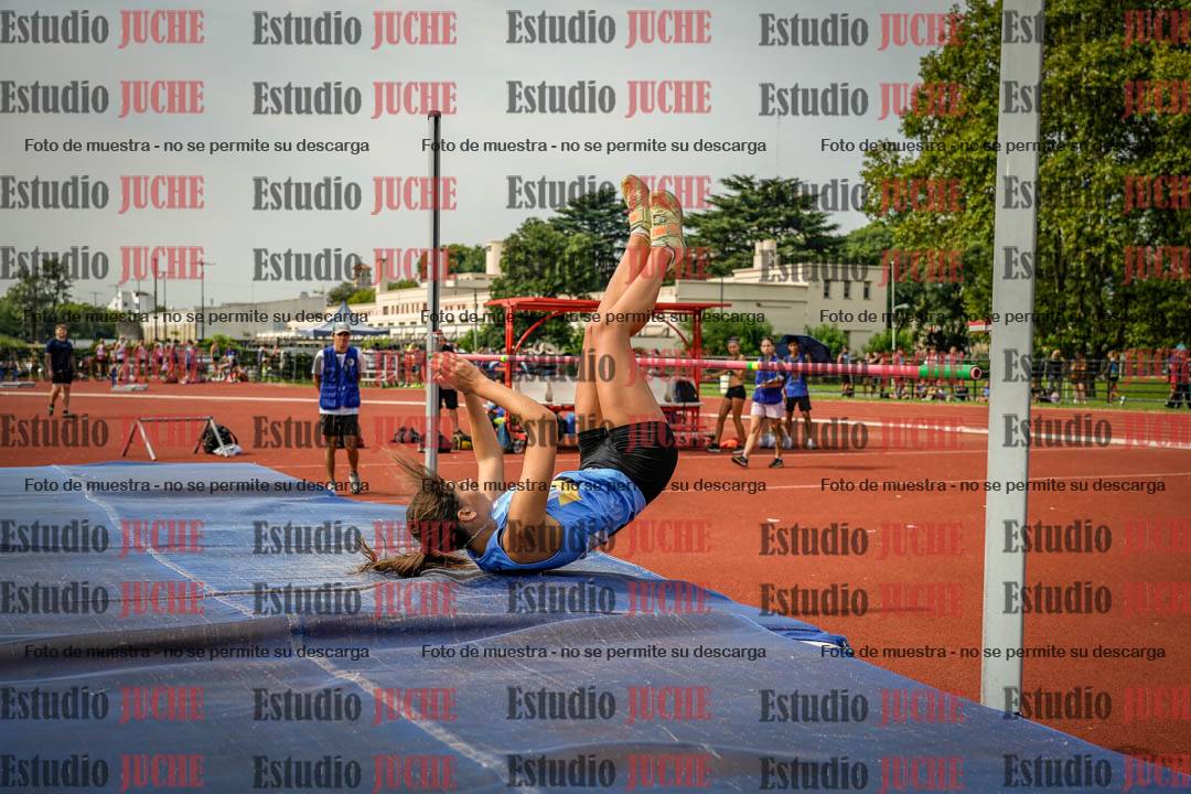 Fotos del salto en alto