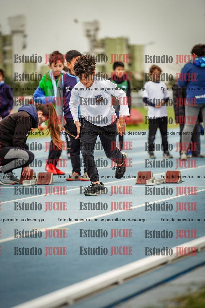 Fotos de los 50 m llanos de varones - U12