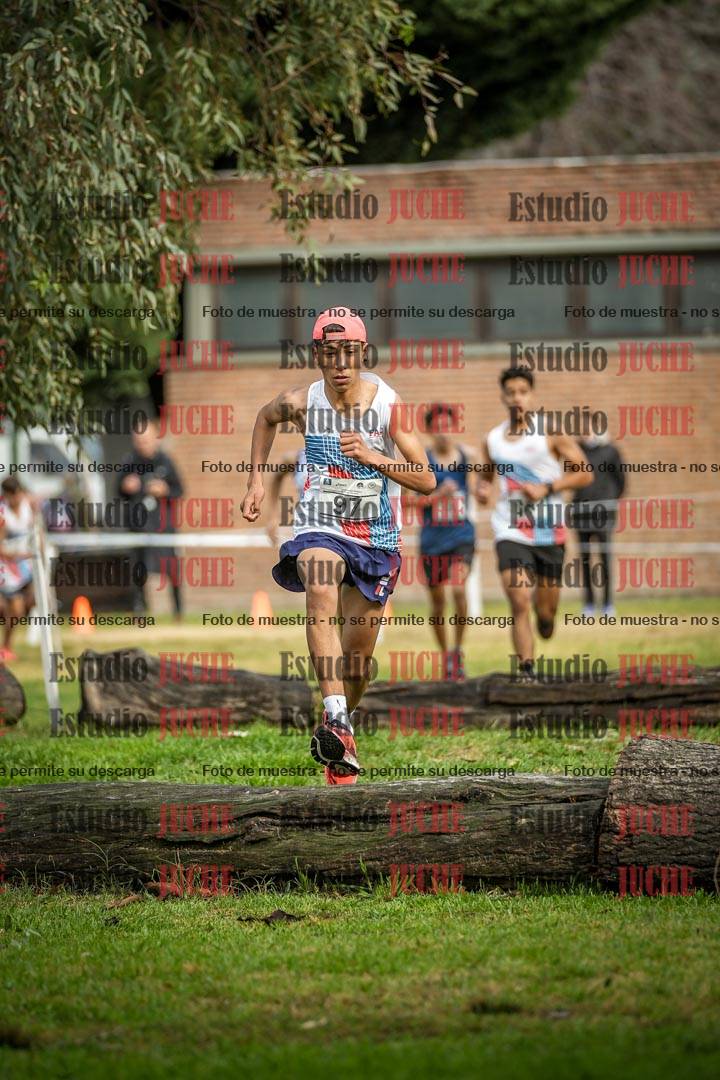 Fotos en el circuito
