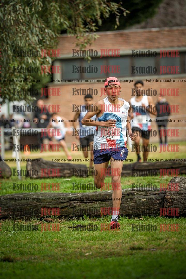 Fotos en el circuito