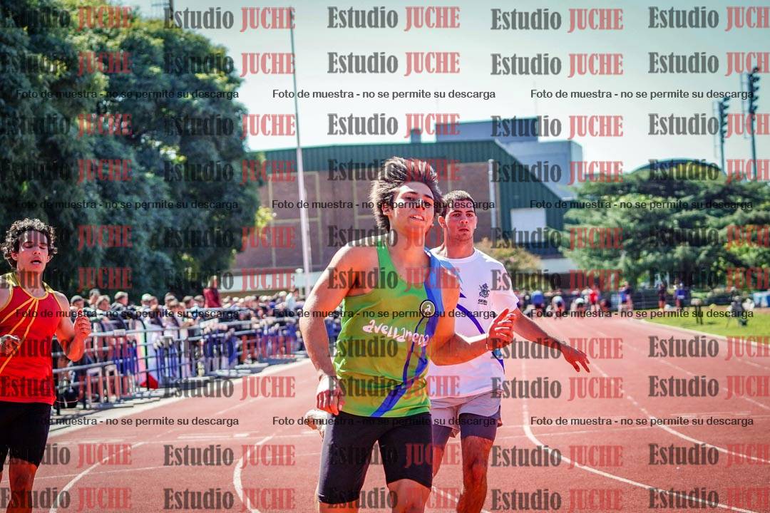 Fotos de los 100 m de varones