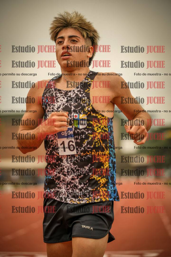 Fotos de los 800 m llanos de varones