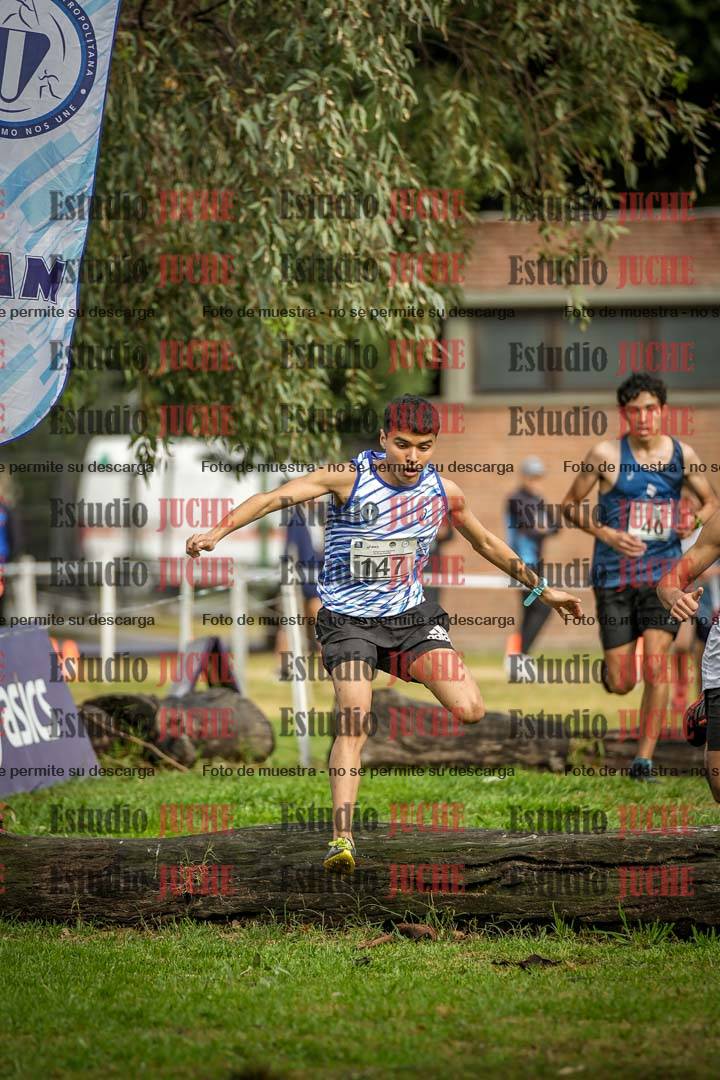 Fotos en el circuito