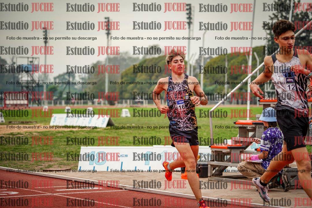 Fotos de los 800 m llanos de varones