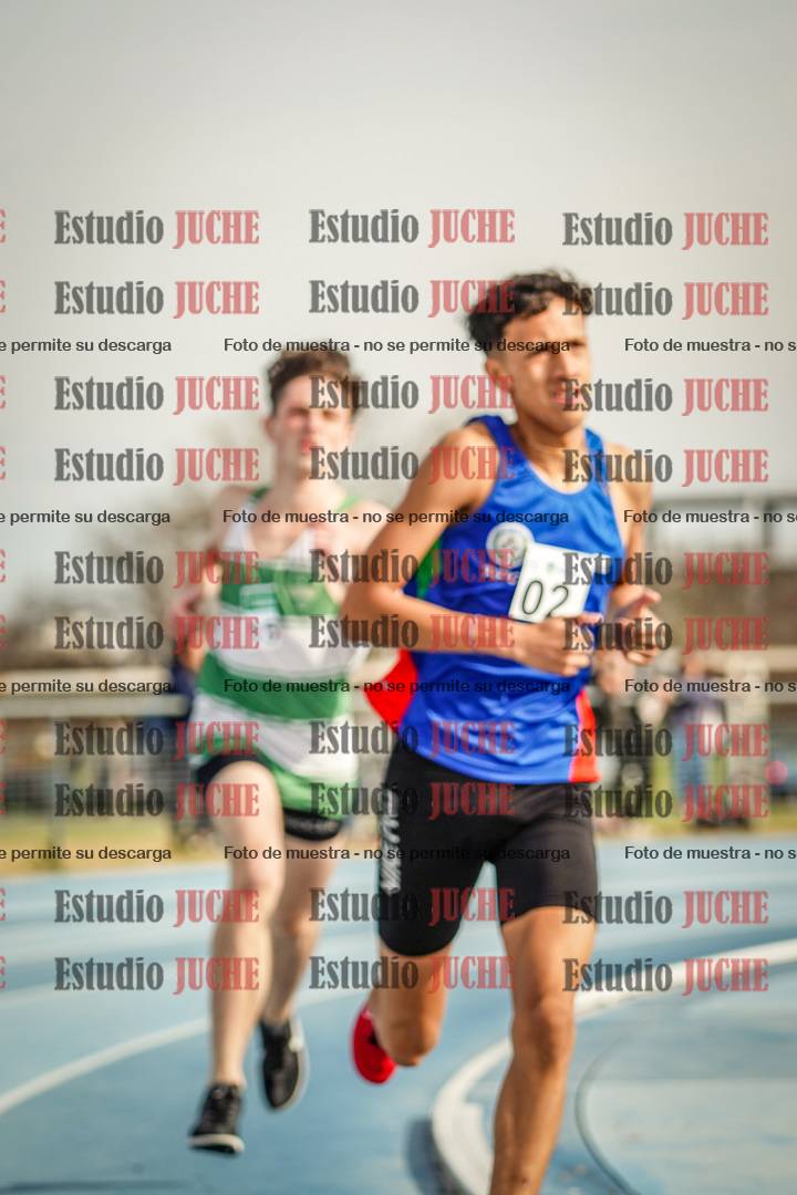 Fotos de los 800 m llanos de varones
