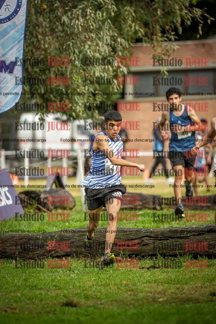 Fotos en el circuito