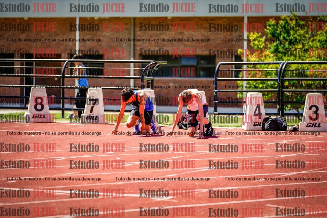 Fotos de los 110 m con vallas de varones