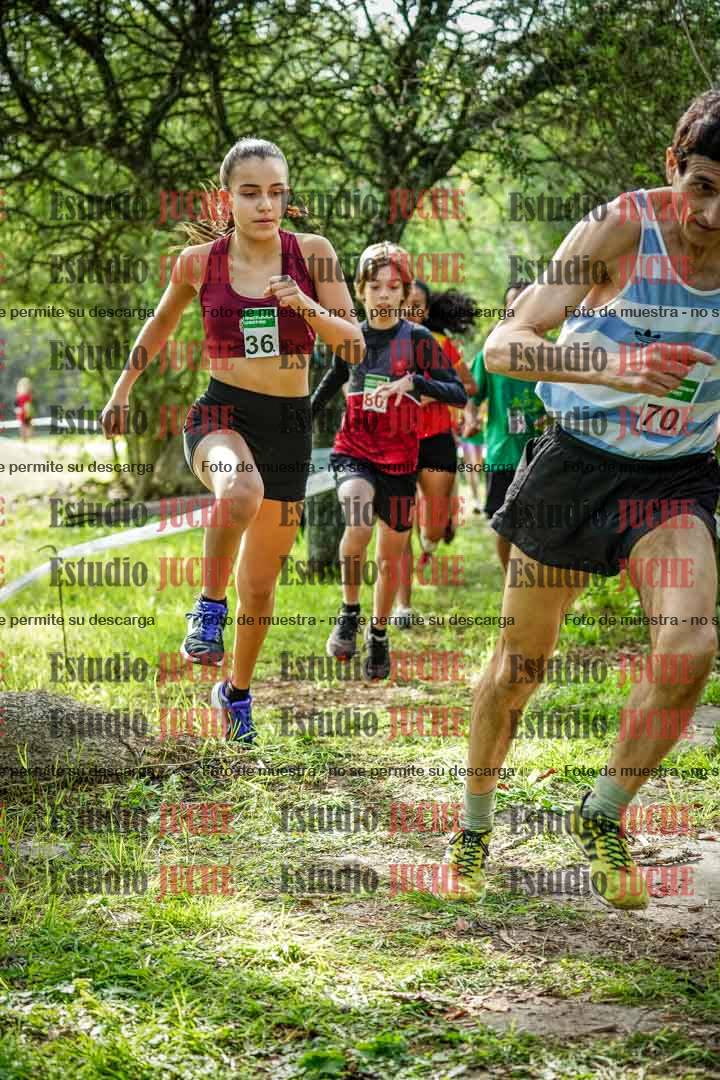 Fotos en el circuito