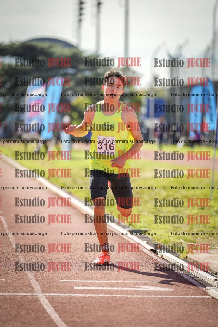 Fotos de los 800 m llanos de varones